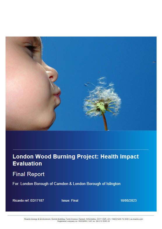Child blowing on a dandelion as the photo cover for the London Wood Burning Project Health Impact Evaluation